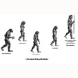  Evolution de l'homme depuis la préhistoire