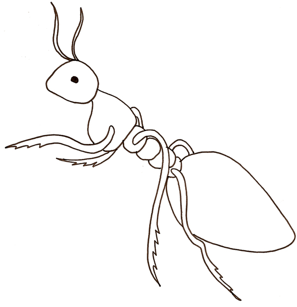 dessin facile fourmi