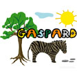 image Gaspard savane