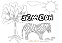 coloriage Simeon savane