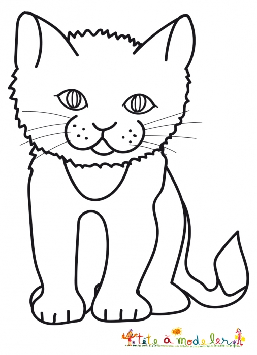 Coloriage d'un tout petit chat - coloriage chat Tête à modeler