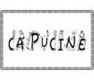 coloriage lettres de capucine